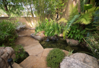 Scottsdale Luxury Home Landscaping
