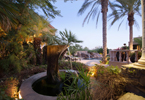 Scottsdale Luxury Home Water Features